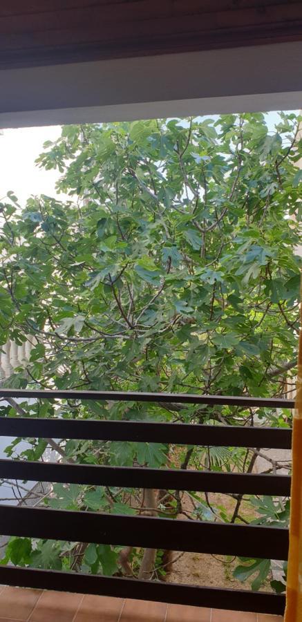 Apartment Tonci Rab Town Exterior photo